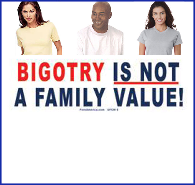 Buy ash Bigotry is Not a Family Value Tee