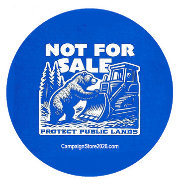 Not For Sale Pin