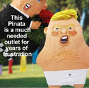 Cry Baby Trump Party Pinata-2