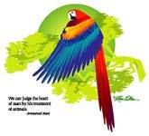 Macaw, Judge the Heart of Man Tee