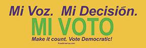Mi Voto