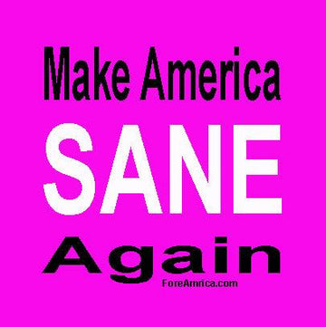 Make America Sane Again Magnet